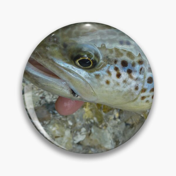 Item preview, A close up of a fish that is a hybrid of marble trout and a brown trout, caught on the Soca River, near Slovenia designed and sold by SnapTPhotograph.