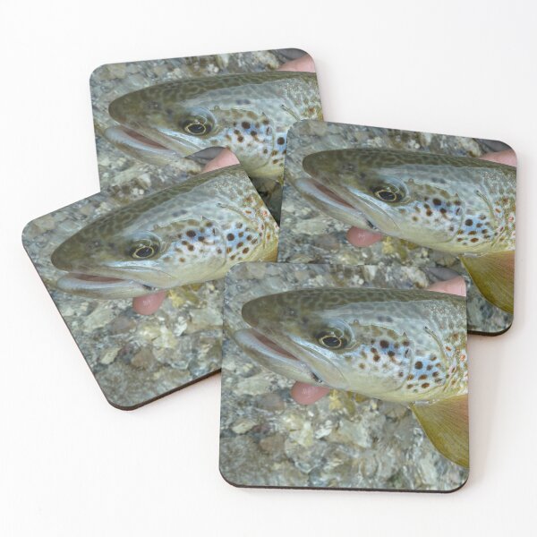Item preview, A close up of a fish that is a hybrid of marble trout and a brown trout, caught on the Soca River, near Slovenia designed and sold by SnapTPhotograph.