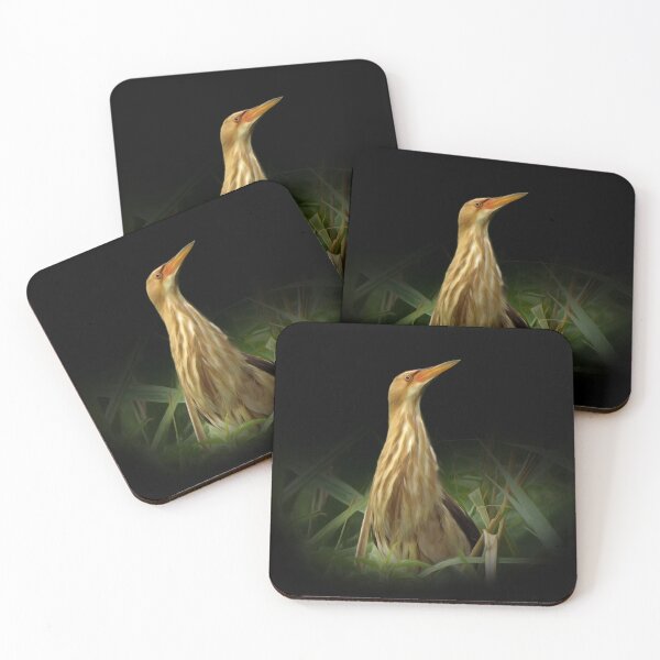 Item preview, Little bittern designed and sold by Guardi71.