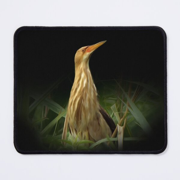 Item preview, Little bittern designed and sold by Guardi71.