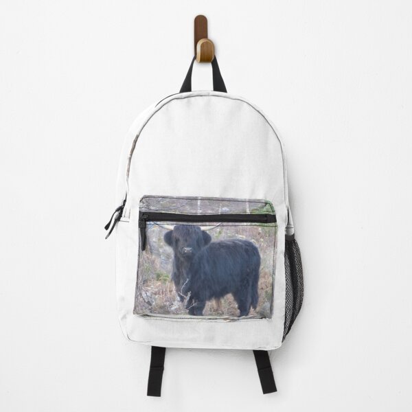 Item preview, Traditional Black Highland Cow in Scotland designed and sold by FastRapidash.