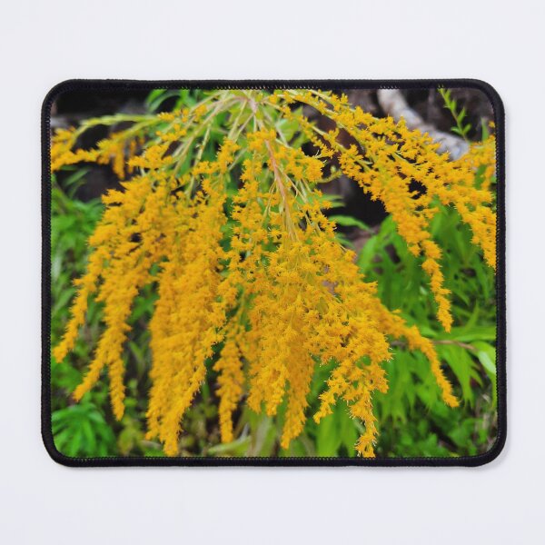 Item preview, wild flower designed and sold by barbich.