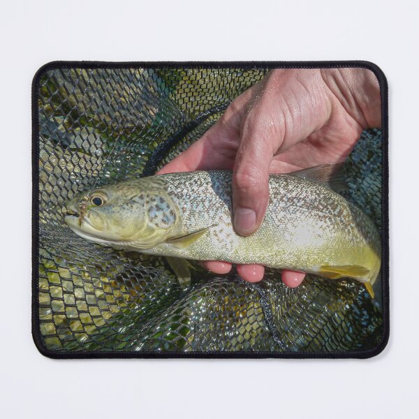 Item preview, A rare Marble Trout with a fly in its mouth in a fishing net, caught on the Soca River in Slovenia designed and sold by SnapTPhotograph.