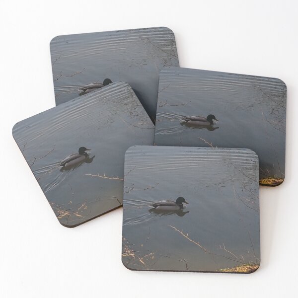 Item preview, wild duck designed and sold by barbich.