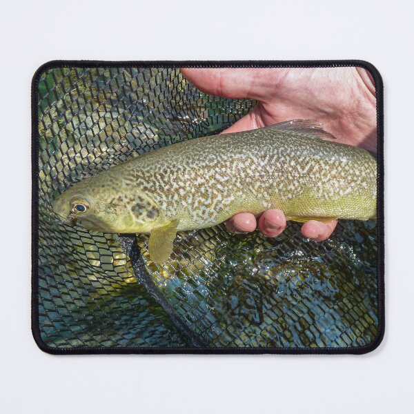 Item preview, A fisherman holding a rare Marble Trout caught on a fly from the Soca River in Slovenia designed and sold by SnapTPhotograph.