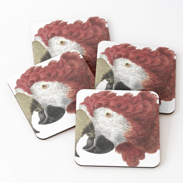 Item preview, Head of a Macaw designed and sold by tranda90.