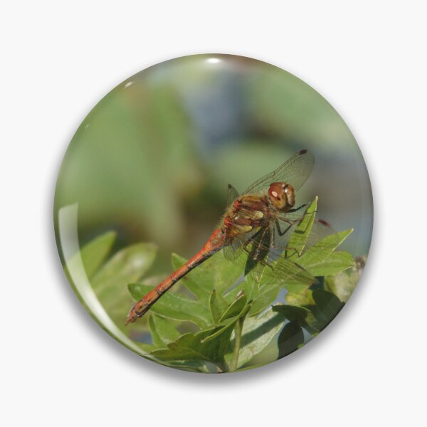 Item preview, Dragonfly Common Darter (Sympetrum striolatum) designed and sold by FastRapidash.