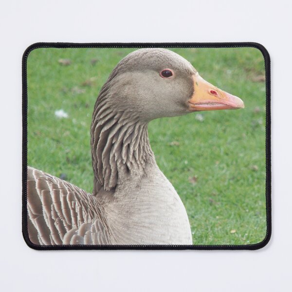 Item preview, Greylag Goose Portrait (Anser anser) designed and sold by FastRapidash.