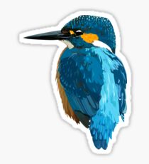 Kingfisher Sticker