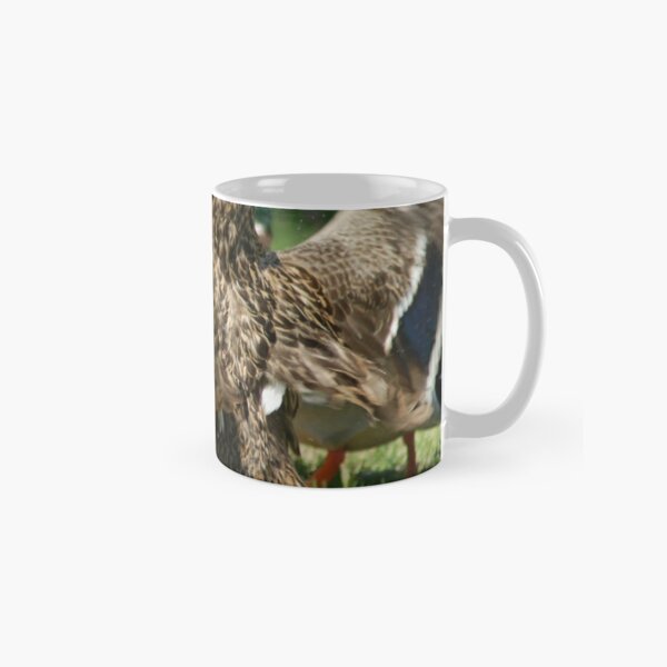 Canadian Mallard Ducks Quacking Classic Mug
