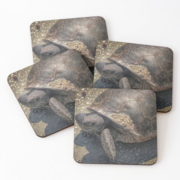 Item preview, Sandy Turtle designed and sold by Barbara Espinosa.