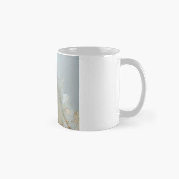 Birds- eggs- chicks- cockatiels Classic Mug
