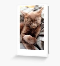 Salem Nights. Greeting Card