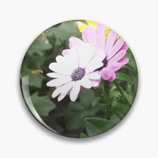 Item preview, Taste of the Sun designed and sold by MaFenVhenan.