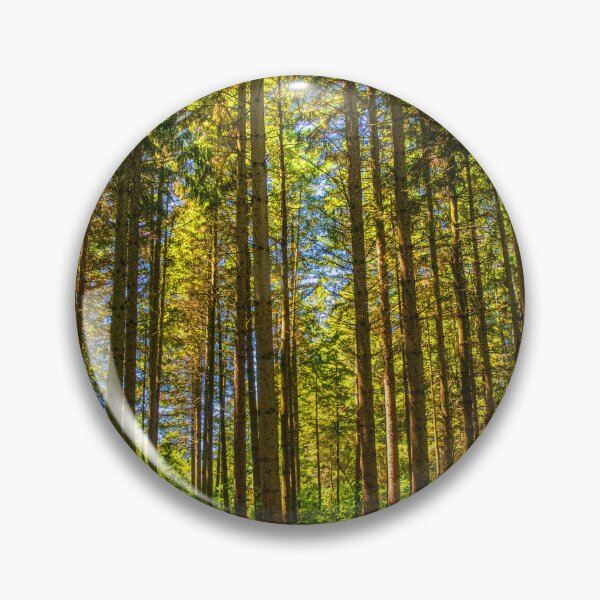 Item preview, A Walk in the Woods designed and sold by Brian Shaw.