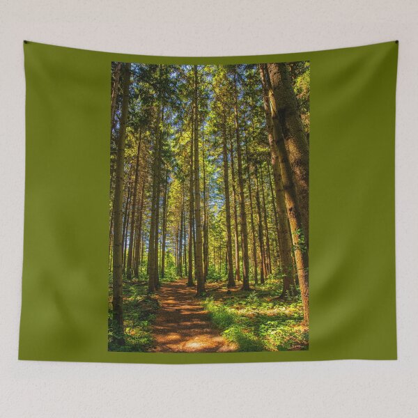 Item preview, A Walk in the Woods designed and sold by Brian Shaw.