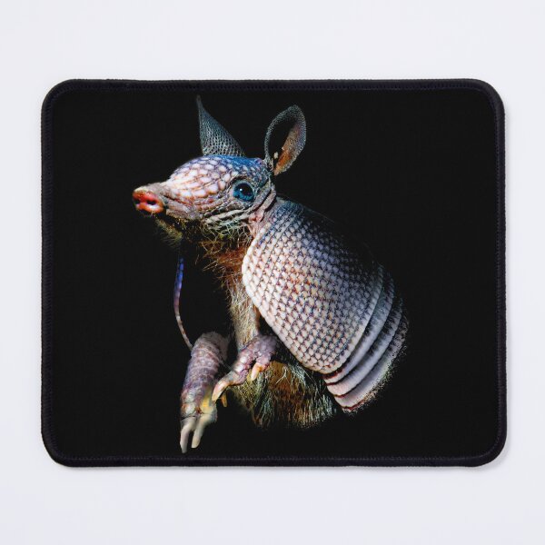Item preview, Armadillo Bust Head designed and sold by abowlofsoda.