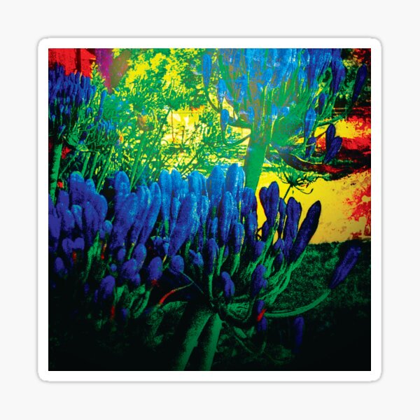 Agapanthus in Bloom PhotoArt Sticker