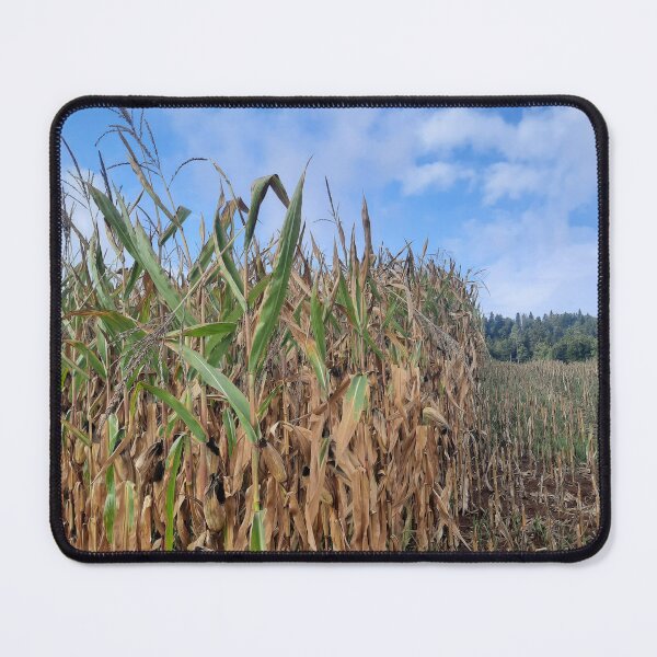 Item preview, corn field, maize designed and sold by barbich.