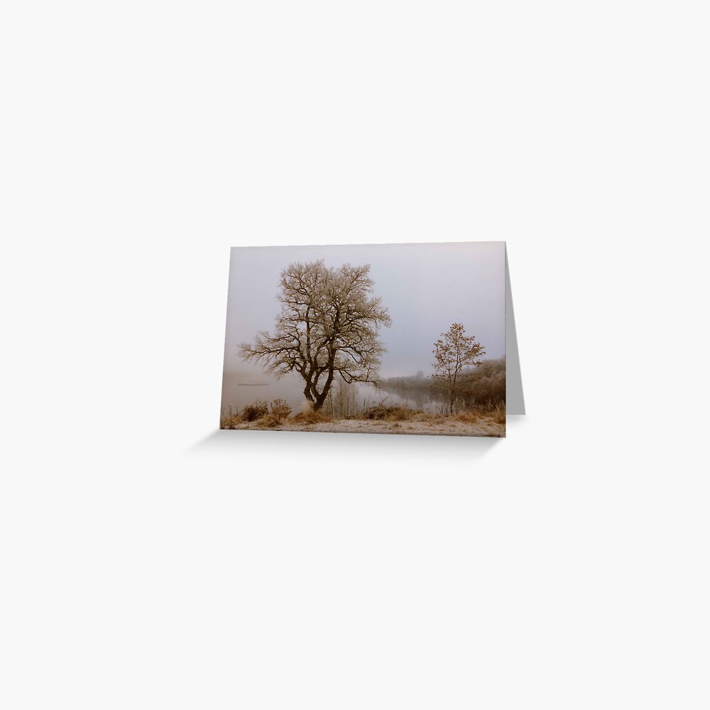 Winter Greeting Card