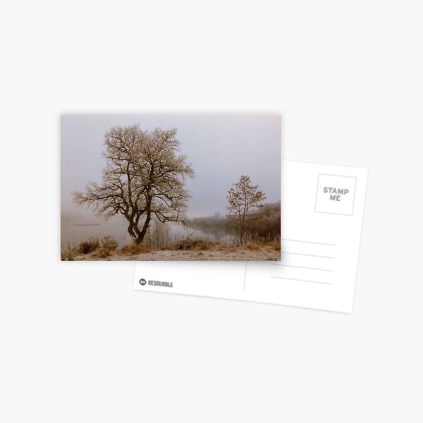 Winter Postcard