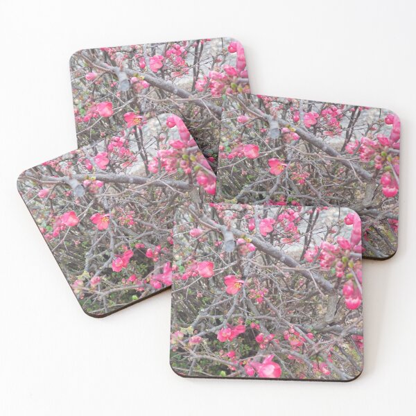 Item preview, Blossomin spring designed and sold by AnaRakanovic.
