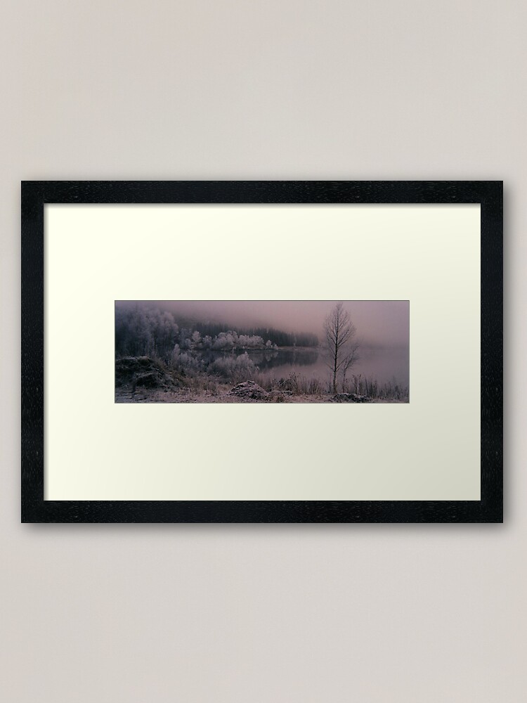 Thumbnail 1 of 7, Framed Art Print, Frosty Trees designed and sold by orcadia.
