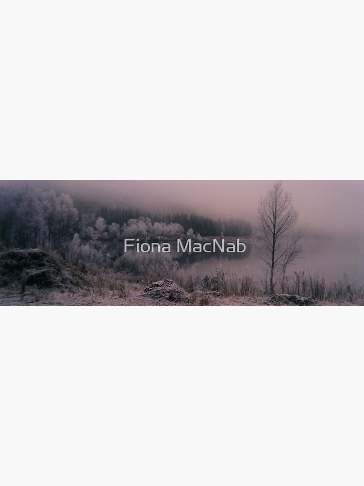 Frosty Trees by orcadia