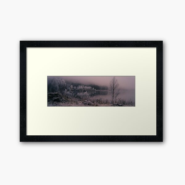 Framed Art Print