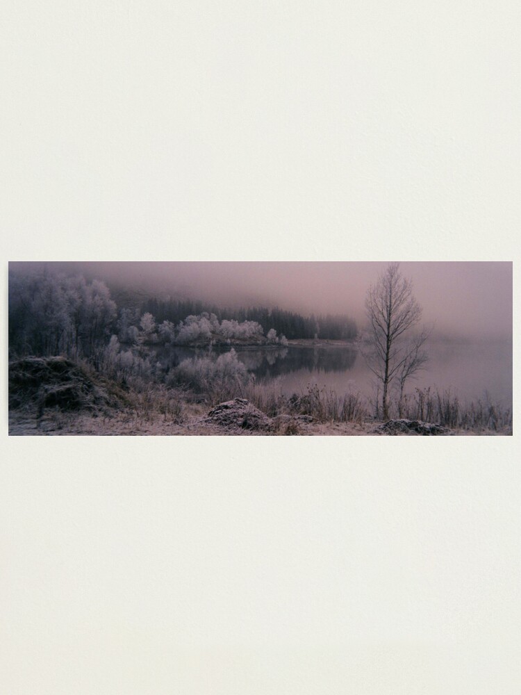 Thumbnail 2 of 3, Photographic Print, Frosty Trees designed and sold by Fiona MacNab.