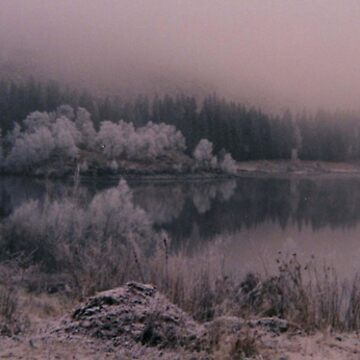 Artwork thumbnail, Frosty Trees by Fiona MacNab