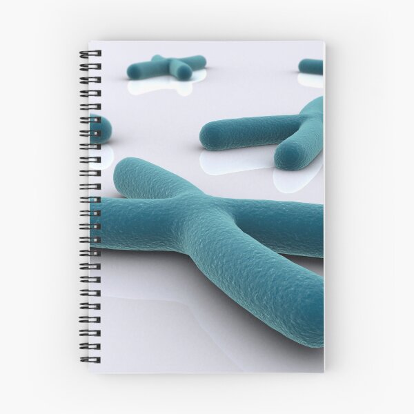 Item preview, Conceptual image of chromosome. designed and sold by StocktrekImages.