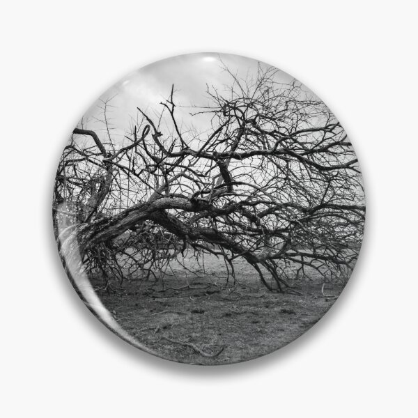 Item preview, Thomas Jefferson Broken Tree designed and sold by nbrandsberg.