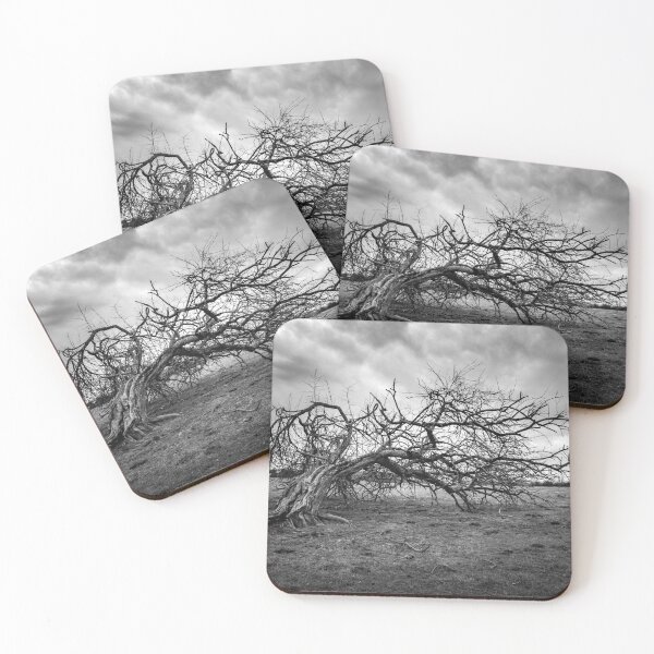 Item preview, Thomas Jefferson Broken Tree designed and sold by nbrandsberg.