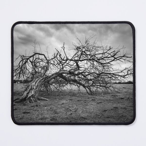 Item preview, Thomas Jefferson Broken Tree designed and sold by nbrandsberg.