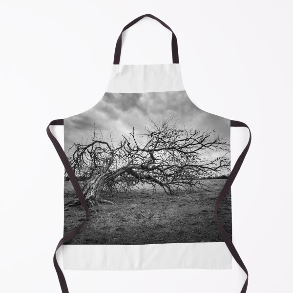 Item preview, Thomas Jefferson Broken Tree designed and sold by nbrandsberg.