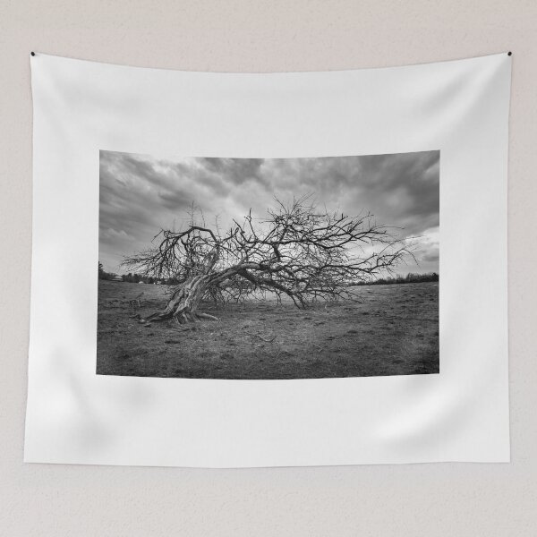 Item preview, Thomas Jefferson Broken Tree designed and sold by nbrandsberg.