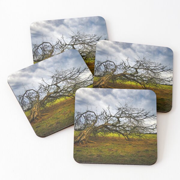 Item preview, The Broken Tree designed and sold by nbrandsberg.