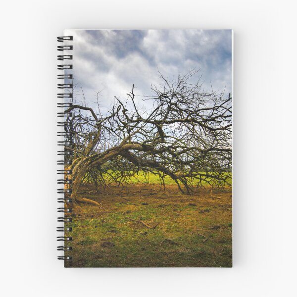 Item preview, The Broken Tree designed and sold by nbrandsberg.