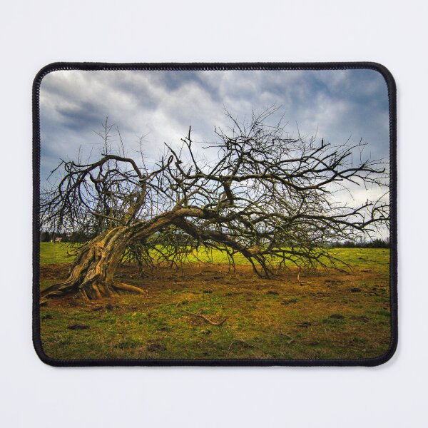 Item preview, The Broken Tree designed and sold by nbrandsberg.