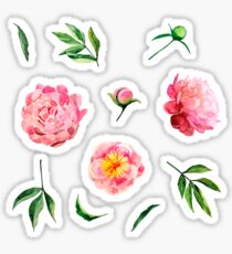 Watercolor peonies collection Sticker