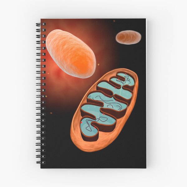 Item preview, Microscopic view of mitochondria. designed and sold by StocktrekImages.