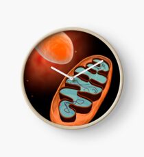 Mikroskopische Ansicht von Mitochondrien. Uhr