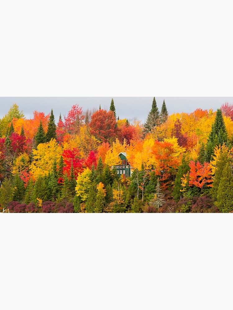 "Autumn Canadian Nature wall decor,Canada,Narure,Canada print,panoramic
