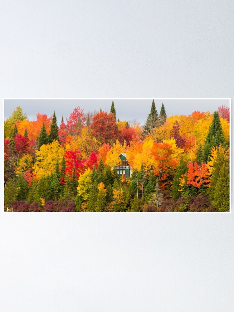 "Autumn Canadian Nature wall decor,Canada,Narure,Canada print,panoramic