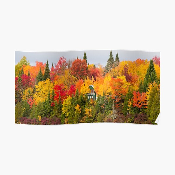 "Autumn Canadian Nature wall decor,Canada,Narure,Canada print,panoramic