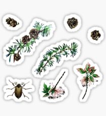 Watercolor forest set Sticker