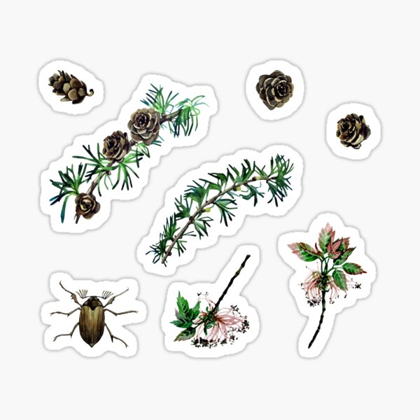 Watercolor forest set Sticker