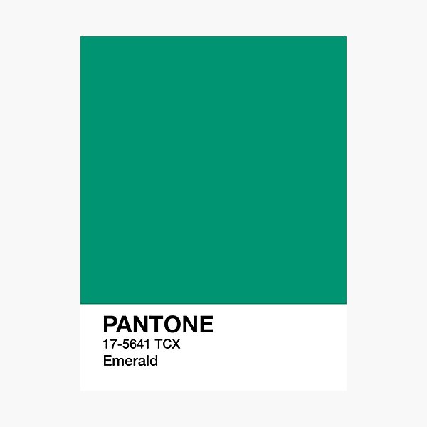 pantone 627  Forest green paint color, Dark green aesthetic
