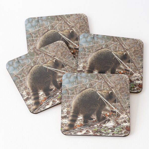 Item preview, THE BLIND RACCOON 2 designed and sold by BOLLA67.